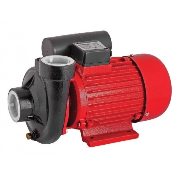 Pompa de suprafata RD-2DK20 fonta 2CP 30000 l/h, Raider 070105