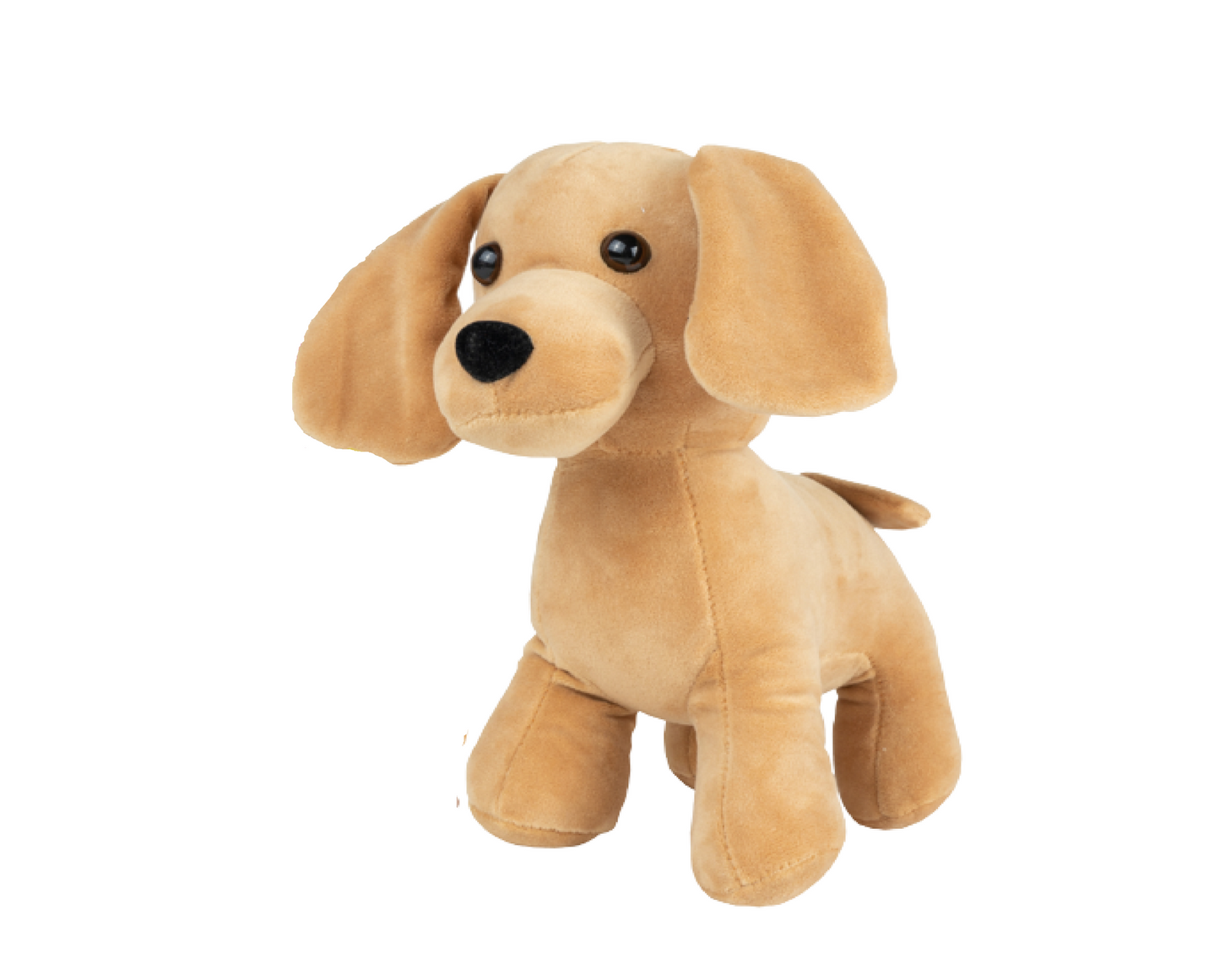 Set catel de plus in gentuta, MalPlay 109853