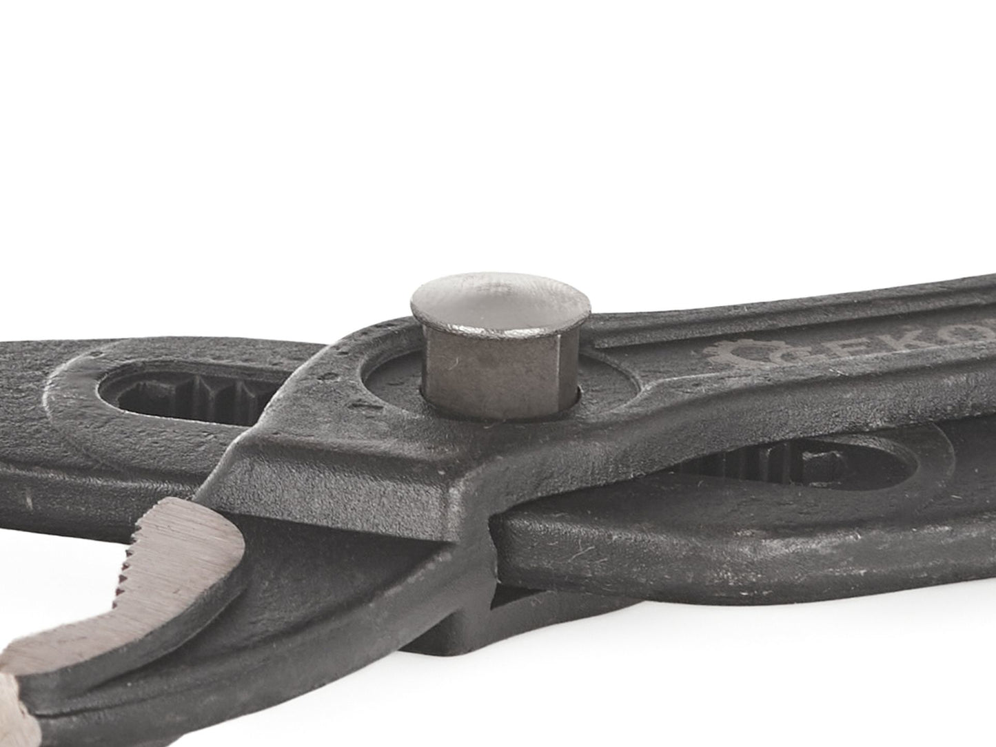 Cleste papagal, 300 mm, Geko G00844