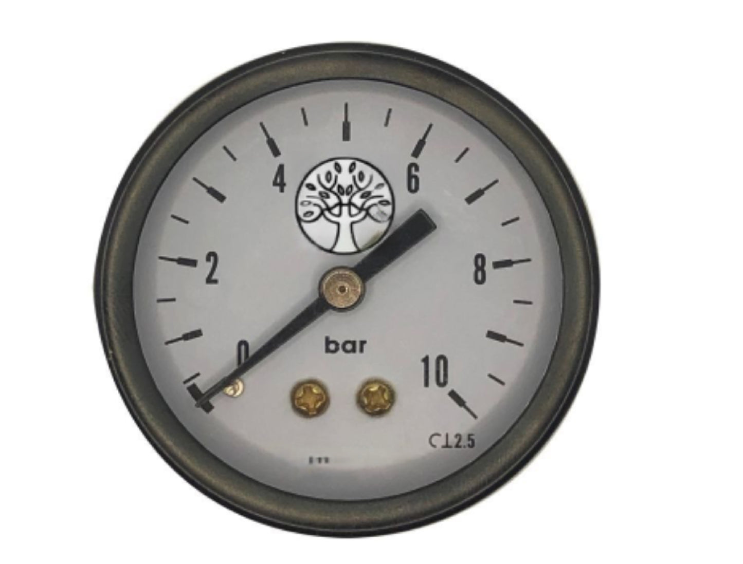 Manometru spate lateral, 50 mm, Influent Economic TS5038