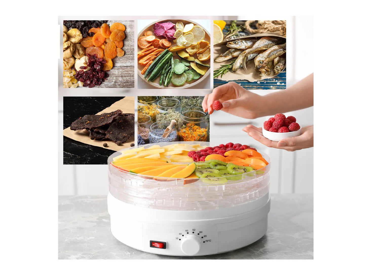 Deshidrator de alimente ajustabil DryMaster500, 500 W, MalTec 110377