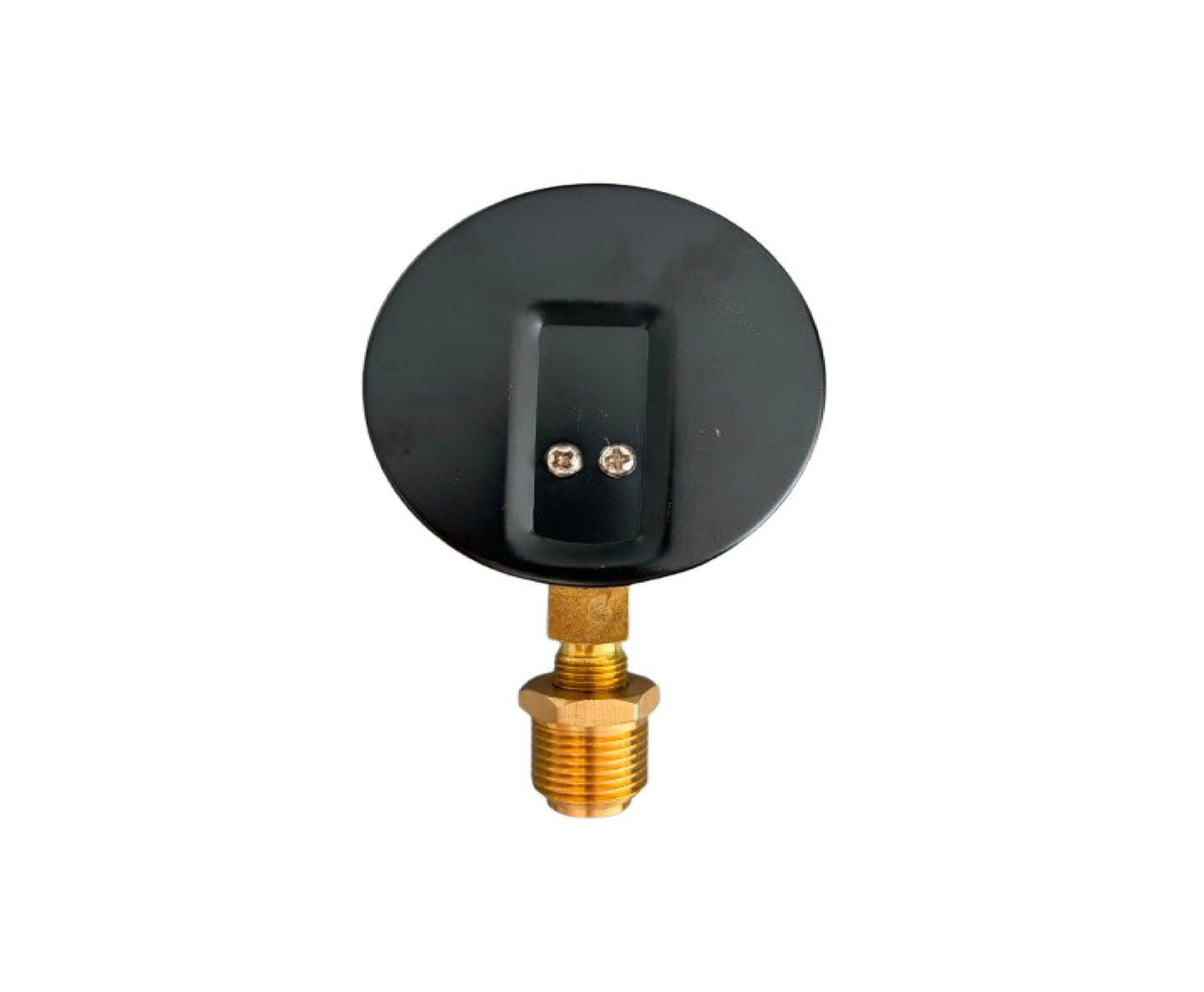 Termomanometru, Ø80 mm, 0-6 bar / 0-120°C, racord inferior 1/2" BSPT, Influent RM0009