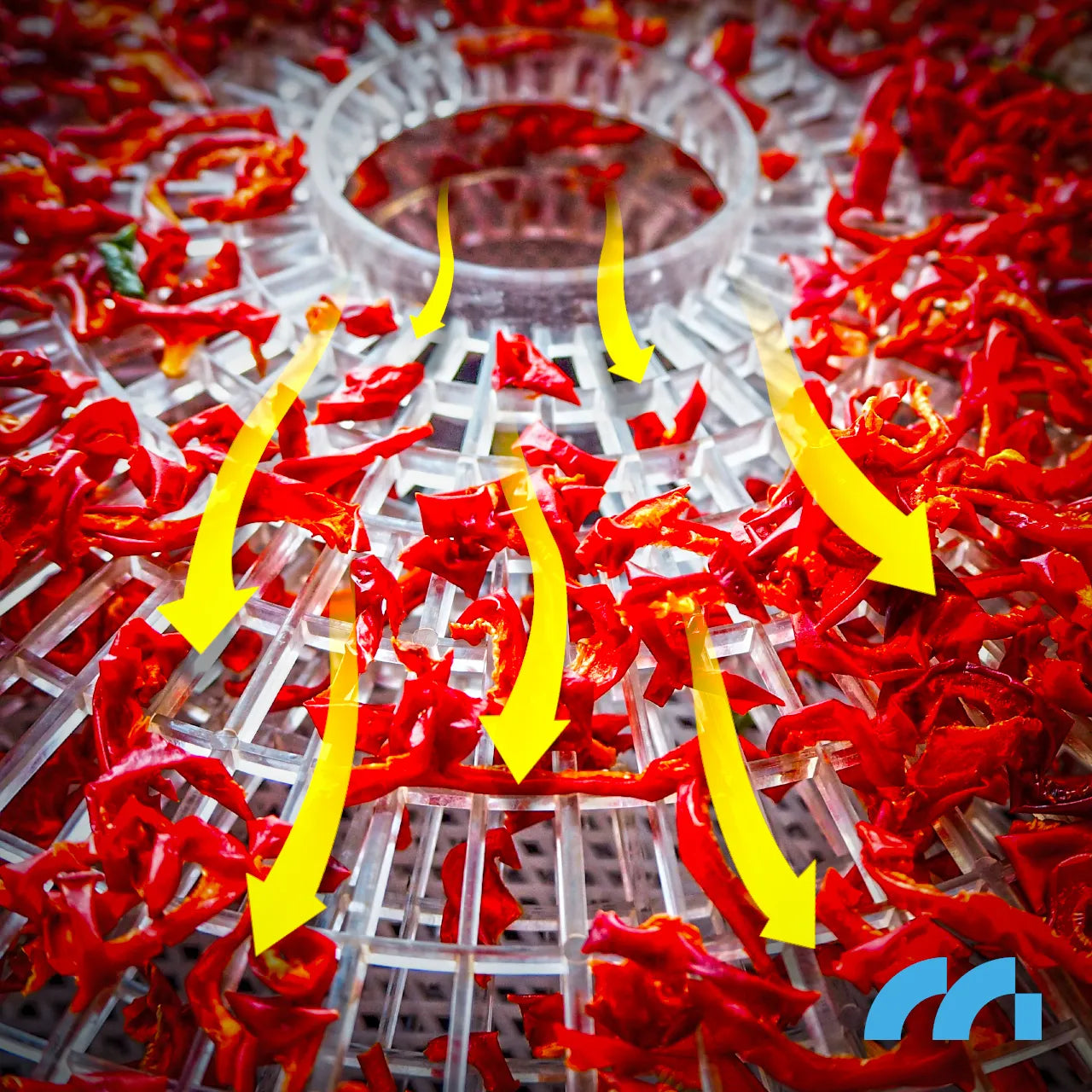 Deshidrator pentru fructe si legume, 5 nivele, 500 W, MalTec 113379