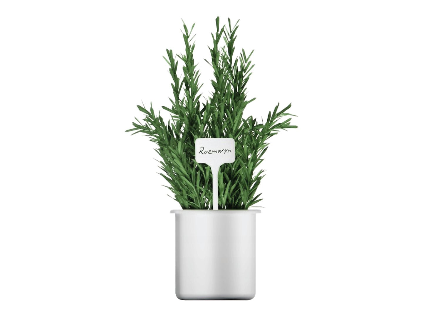 Set placute pentru identificare plante, 15x6cm, 10 bucati, Geko G72130