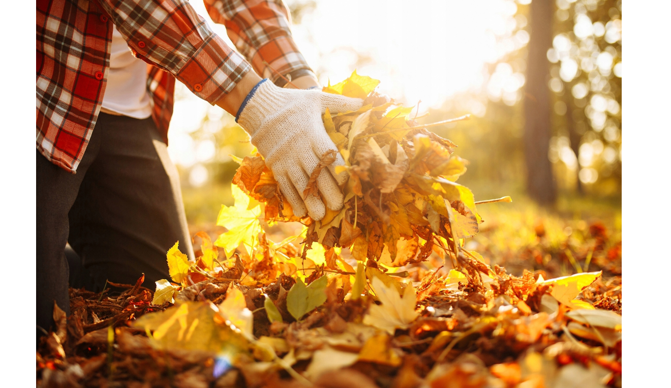 Carucior de gradina Sunwaal, capacitate maxima 300 kg, 75 l, MalTec 112818