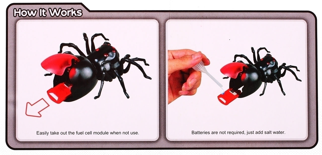 Paianjen tarantula electronic, MalPlay 100389