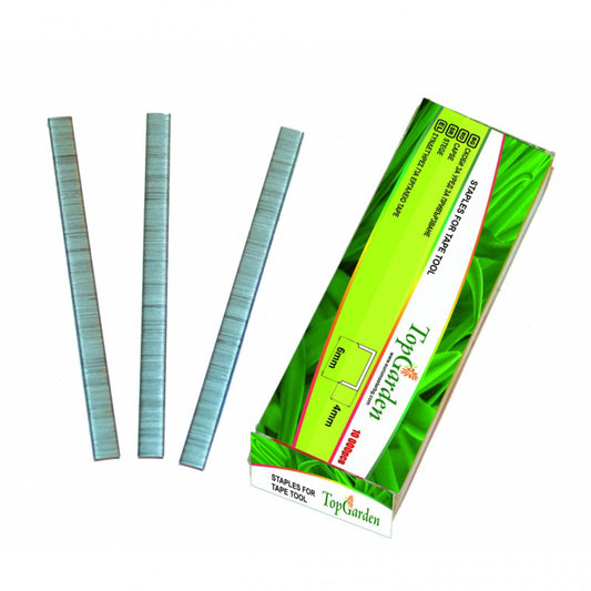 Set 10000 capse 6x4 mm pentru aparat de legat plante, Topgarden 389910