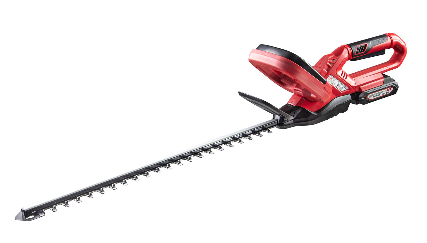 Trimmer gard viu pe acumulator RDP-SHT20, 560 mm, 14 mm, 2 Ah, Raider 075728