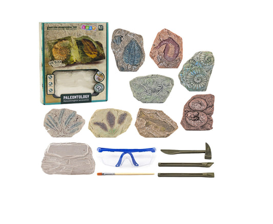 Set paleontologic pentru copii, 28 x 21 x 6 cm, multicolor, Lean 28724