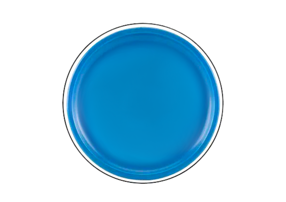 Disc frisbee cu dinozaur, albastru, 20 cm, Lean 20374