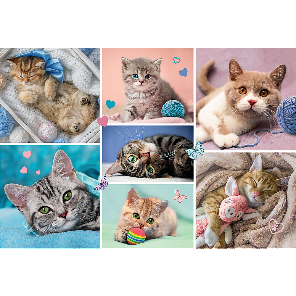 Puzzle Trefl In lumea pisicilor, 100 piese, Lean 14326