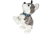 Picture of Cainele Husky interactiv, Malplay 106388