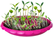 Picture of Carusel Magic Garden cu plante, Malplay 107701