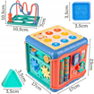 Picture of Cub educativ 6in1, Malplay 108395