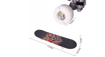 Picture of Skateboard lemn cu imprimeu leu, 77 cm, MalPlay 111673